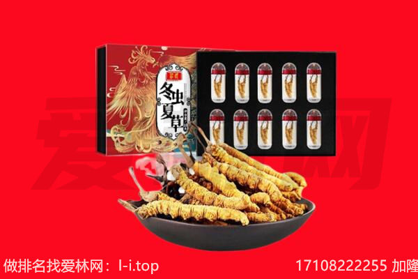 应县回收虫草.jpg